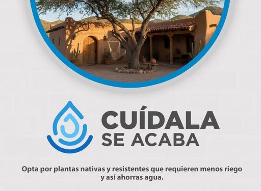 OOMAPASC TE DA ALGUNOS CONSEJOS DE ECOLOGÍA