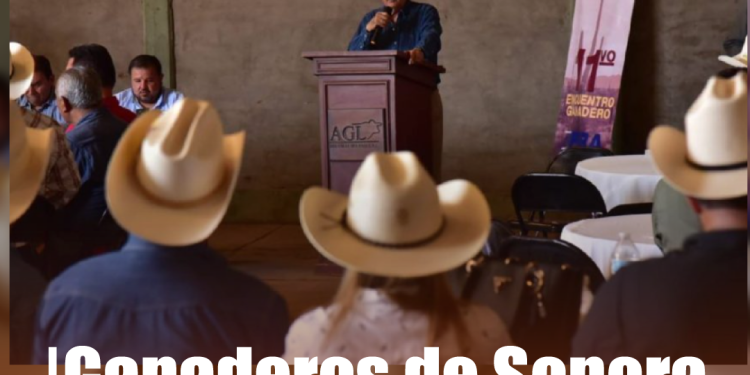 Telefónica se retira de México: ¿qué pasará con los clientes de Movistar?